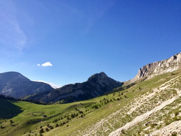 image00001