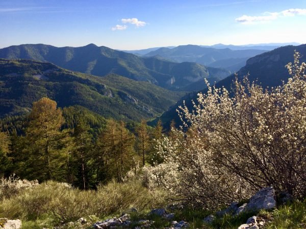 image00003