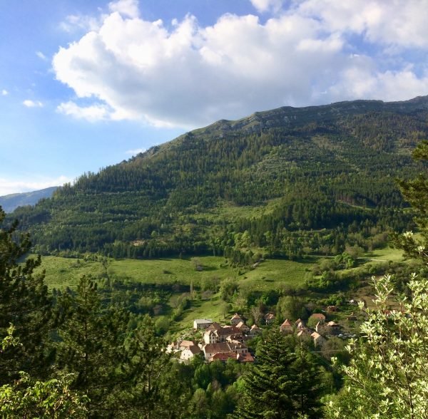 image00016