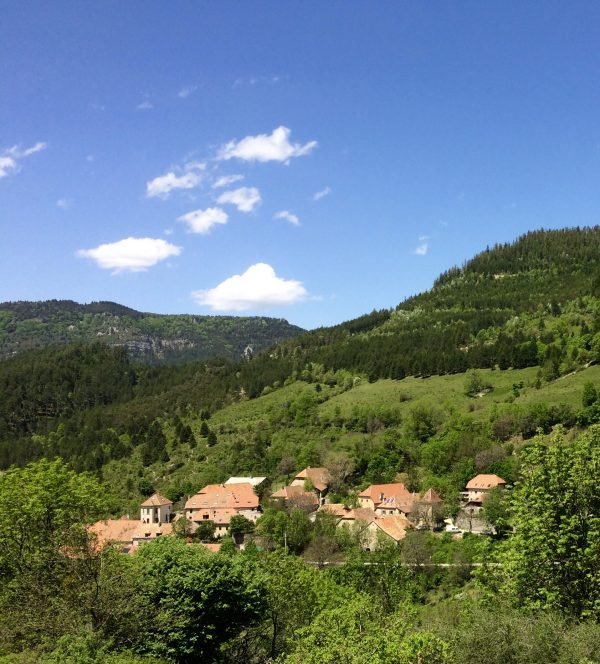 image00078